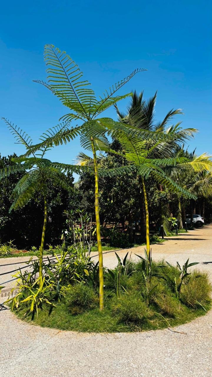 Outdoor Infrastructure