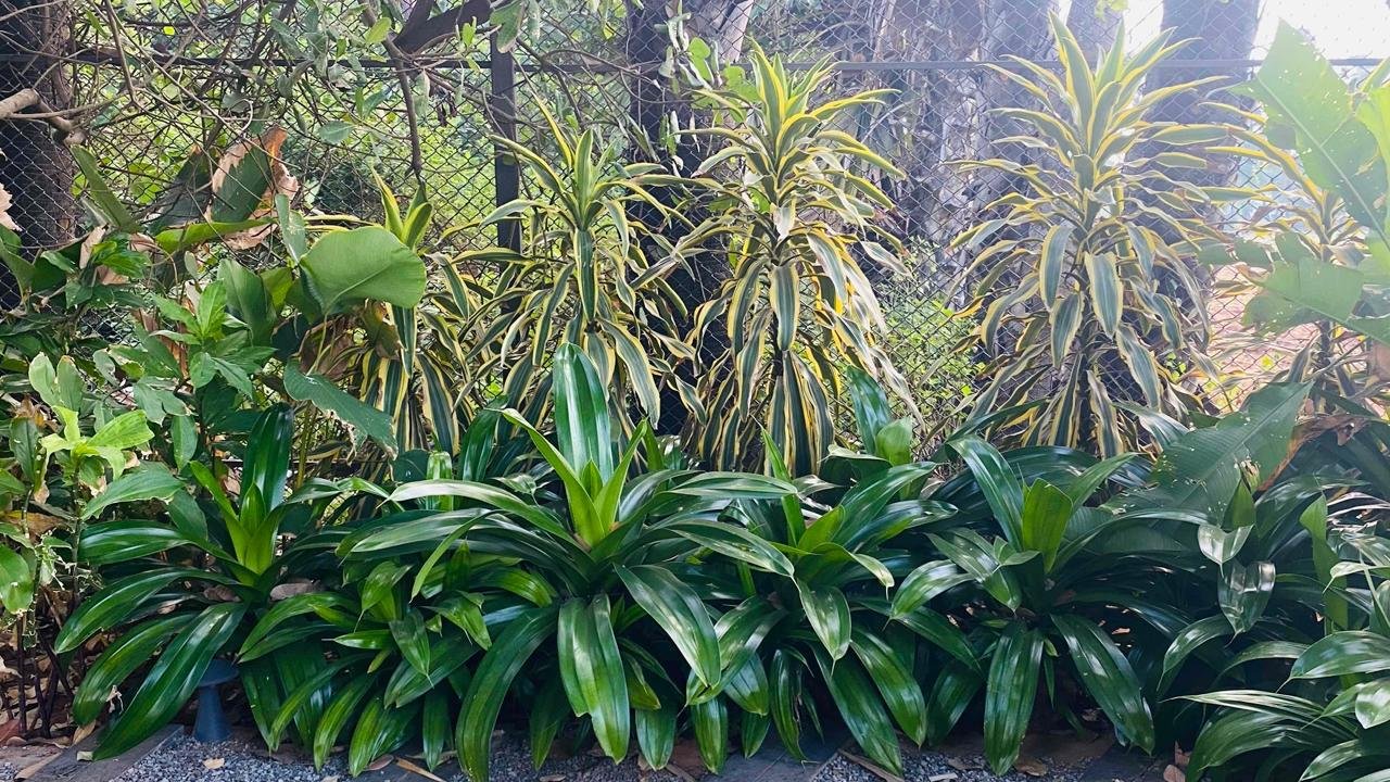 Outdoor Infrastructure