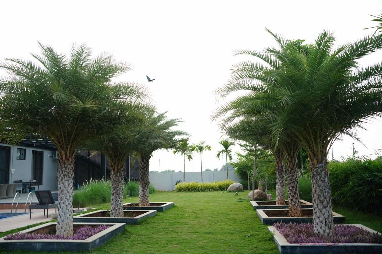 Outdoor Infrastructure